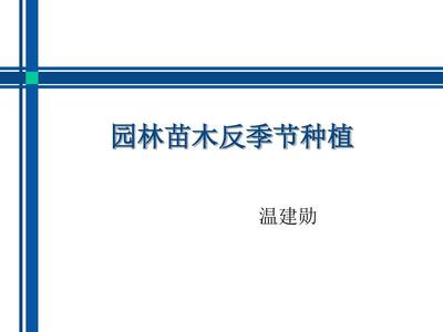 园林苗木反季节种植